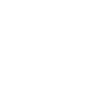 logo-smartjet