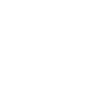everflex